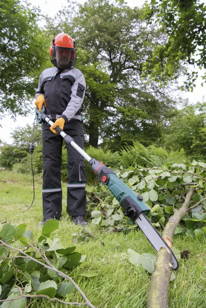3D Baum- und Heckenpflege Set mit Teleskop - Multihandgriff