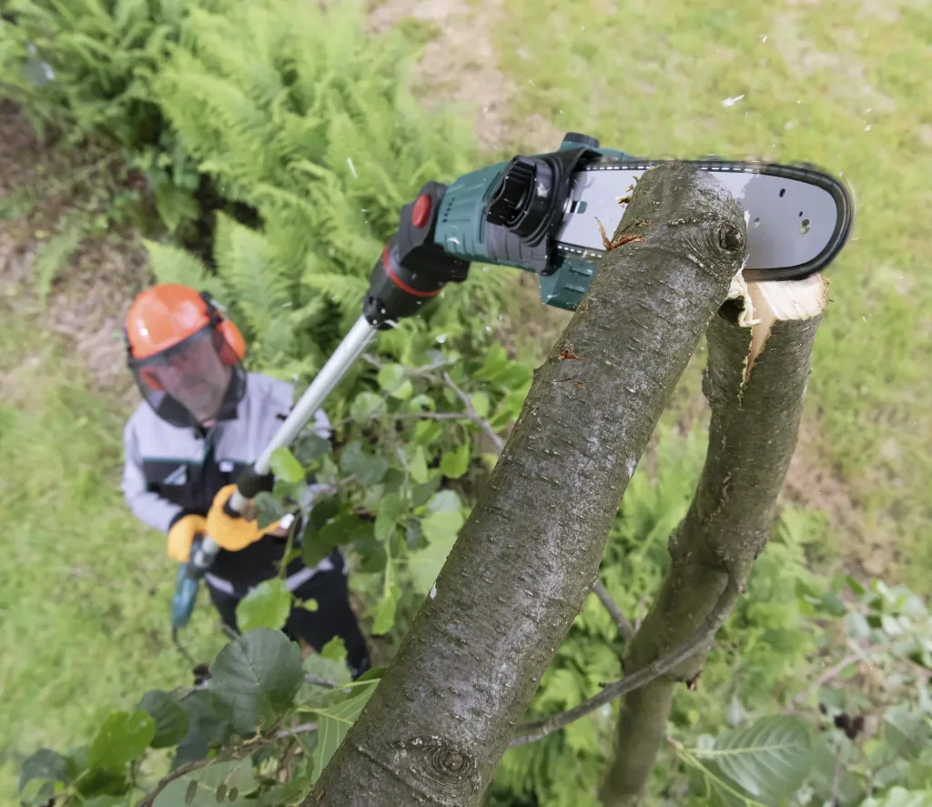 3D Baum- und Heckenpflege Set mit Teleskop - Multihandgriff