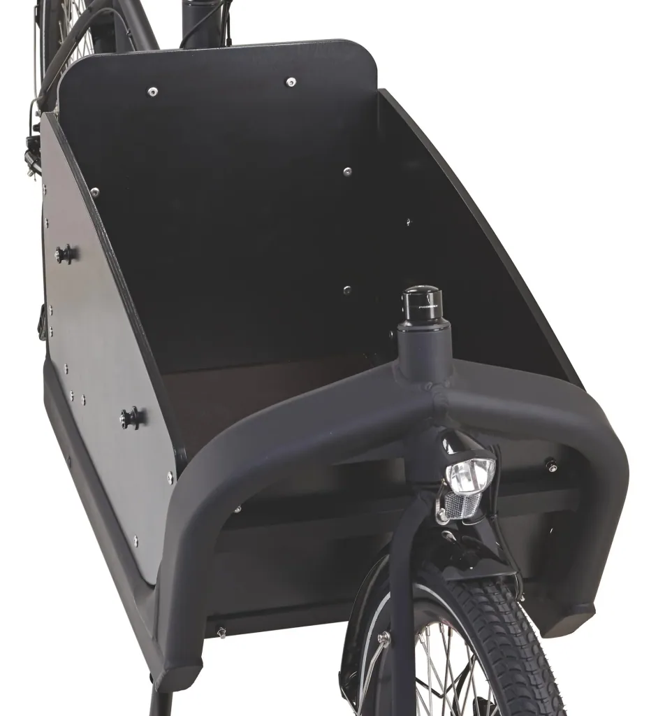 Unisex E-Bike 20"/26 Zoll, Rahmenhöhe 48 cm, 8-Gang Kettenschaltung, schwarz matt, CARGO Plus 22.ETL.20