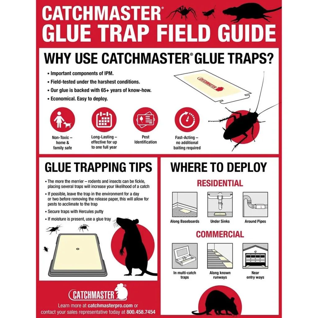 Catchmaster Maus Klebefallen - Erdnussbutter