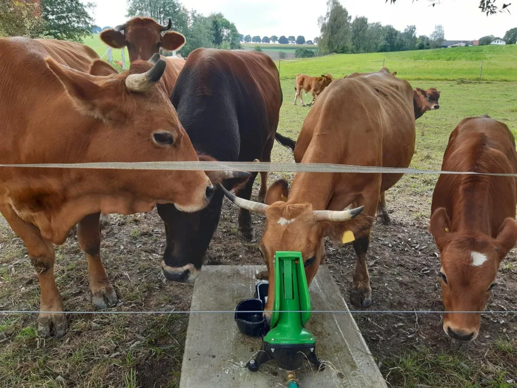 Weidepumpe P100 Duo mit Doppelhub und 1"-Anschluss