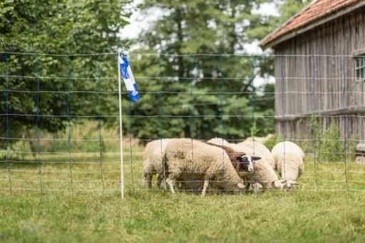 Herdenschutzband blau-weiß, 100m