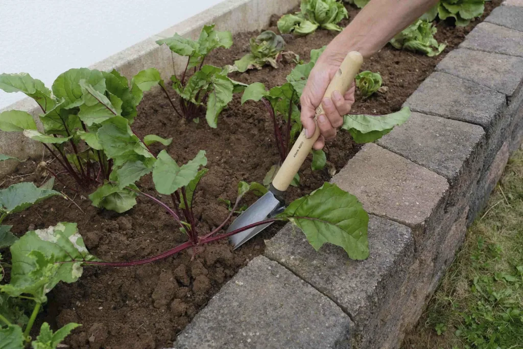 Hochbeet Blumenkelle „65211“, 45 cm