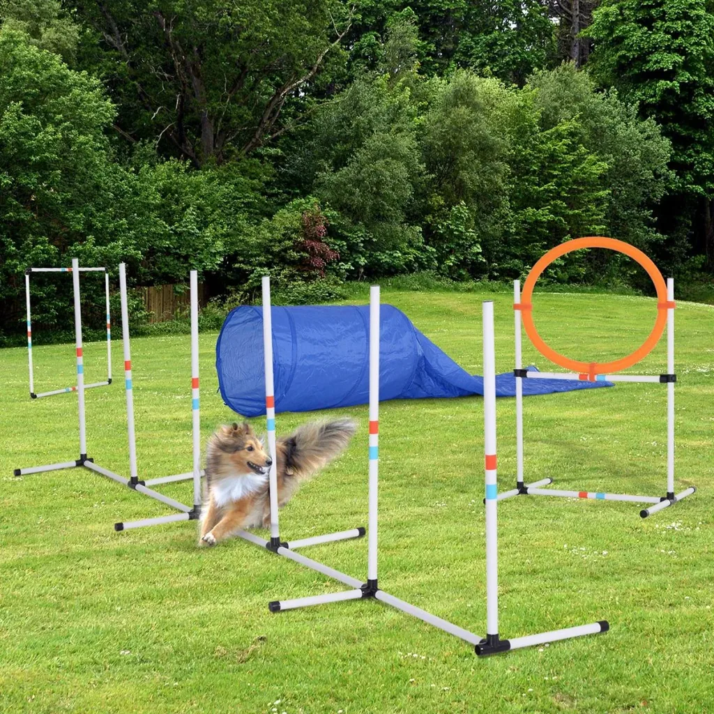 5-tlg. Hunde Agility Set Training für Haustiere Hundetrainigsset mit Hundetunnel Inklusive Tasche Leicht zu tragen Polye