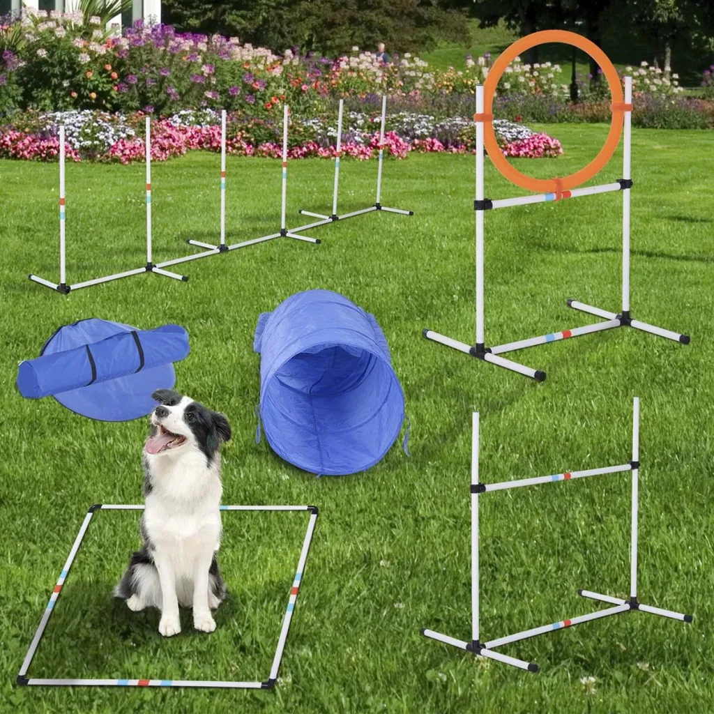5-tlg. Hunde Agility Set Training für Haustiere Hundetrainigsset mit Hundetunnel Inklusive Tasche Leicht zu tragen Polye