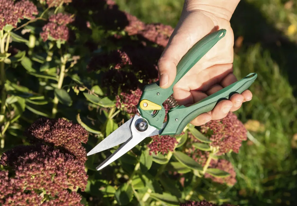 Einhand-Gartenschere, Floristen-Ausführung