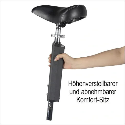 E-Roller "Camper" Basic 20 km/h inklusive abnehmbarem Einkaufskorb schwarz