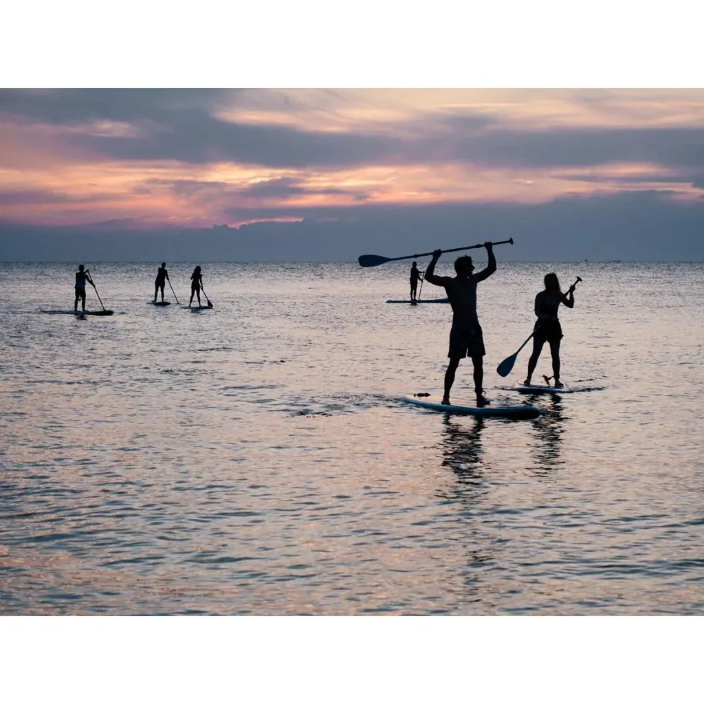 Pacific aufblasbares SUP Board - 305 cm - 6er Set - Weiß/Grün