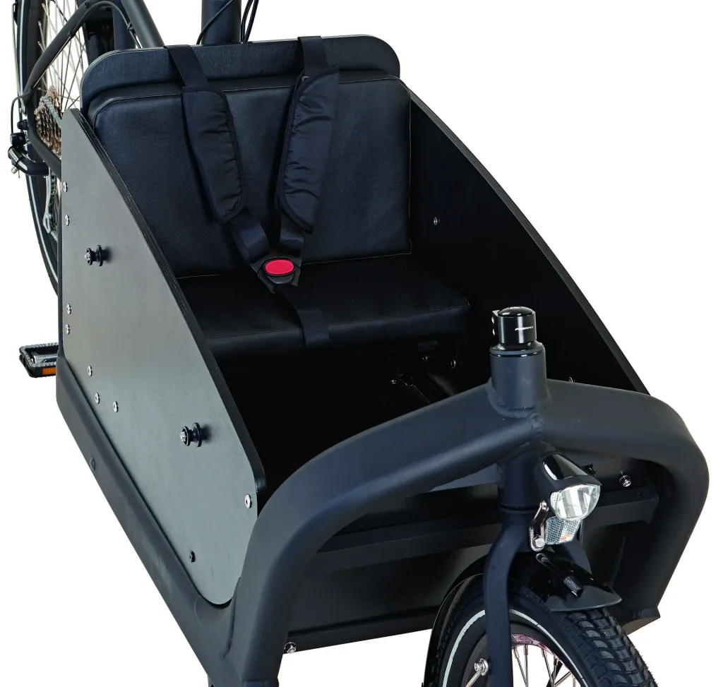 Unisex Lasten-E-Bike 20/26 Zoll, Rahmenhöhe 48 cm, 8-Gang Kettenschaltung, schwarz, CARGO Plus 20.ETL.10