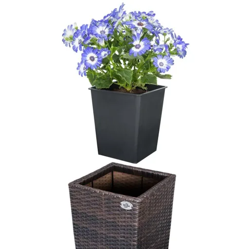 Blumentöpfe Polyrotan 3er-Set braun