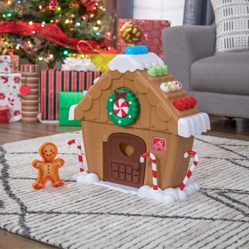 Mein erstes Lebkuchen-Haus