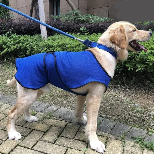 Hunde Kühlweste Kühljacke Cooling Vest schnelle Abkühlung Polyester Blau Ø56 x 60 cm