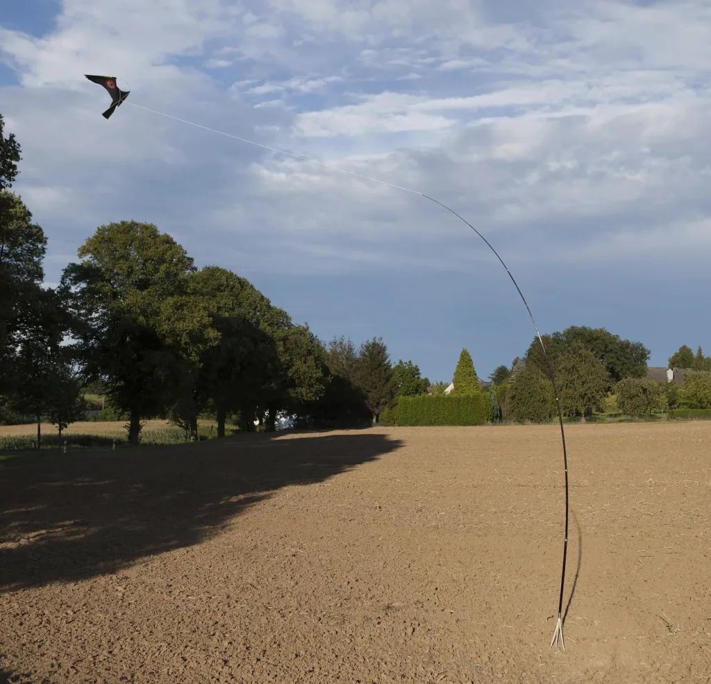 Vogel Abwehr - Drache mit 9 m Stab