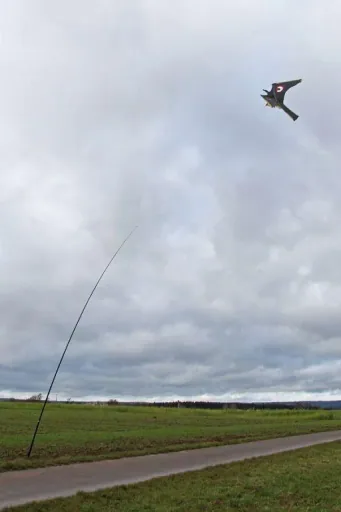 Vogel Abwehr - Drache mit 9 m Stab