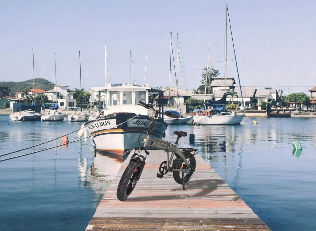 E-Folding Bike F6 Safari Fatbike