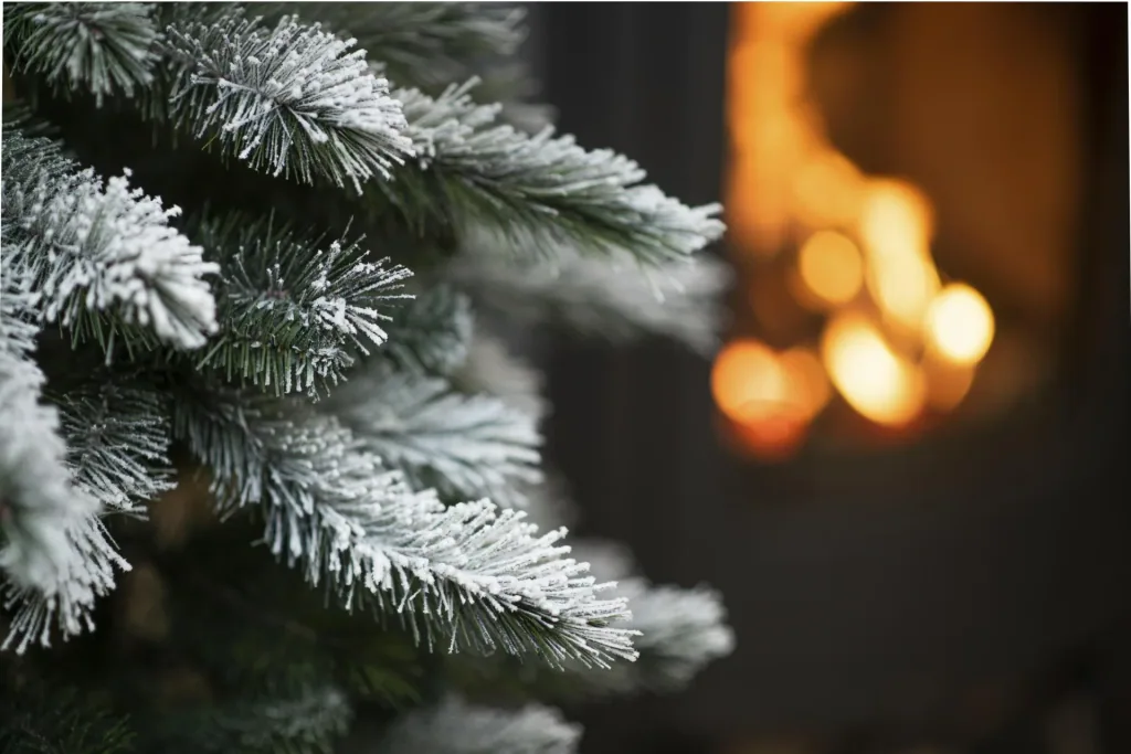 Weihnachtsbaum Cedar Kiefer Frost 180 cm