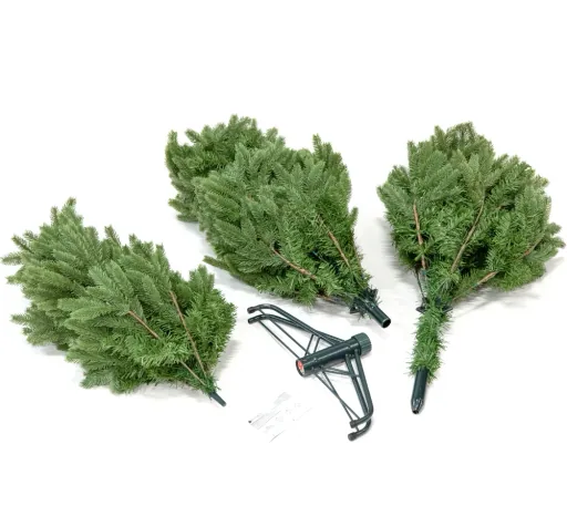 Evergreen Cedar Kiefer Frost 210 cm