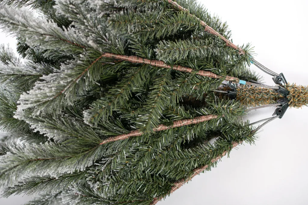 Evergreen Cedar Kiefer Frost 210 cm