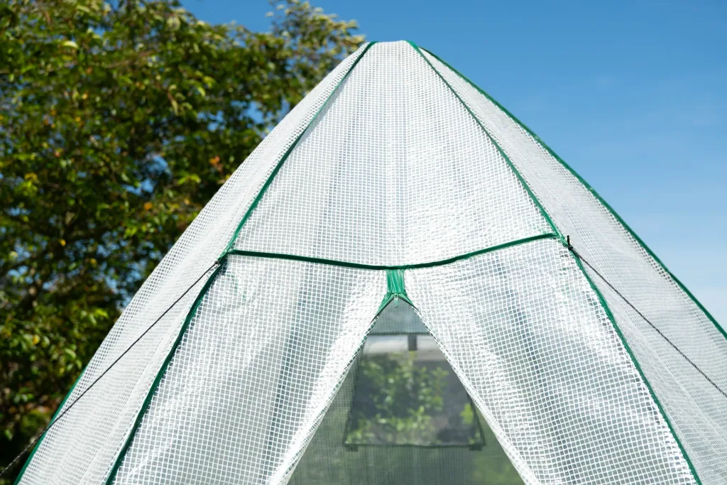 Foliengewächshaus Winterzelt Avocado