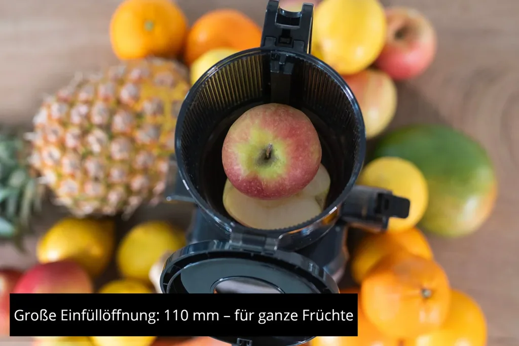 Entsafter, Slow Juicer Sam