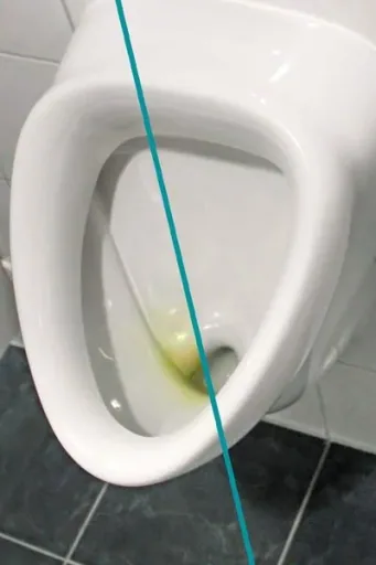 WC Hai 500 ml + GRATIS DAZU 1 x WC Randbürste