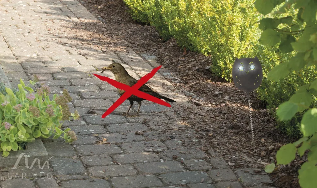Vogelfrei Eulanda 4er Set