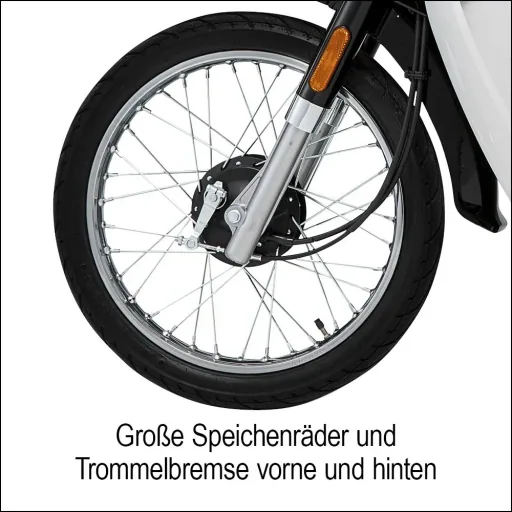 E-Roller "Turin" 45 km/h inklusive 32 Ah Lithium-Akku schwarz/weiß