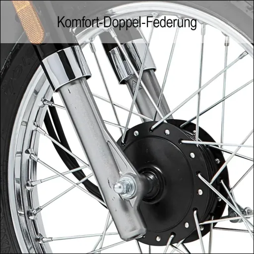 E-Roller "Turin" 45 km/h inklusive 32 Ah Lithium-Akku schwarz/weiß
