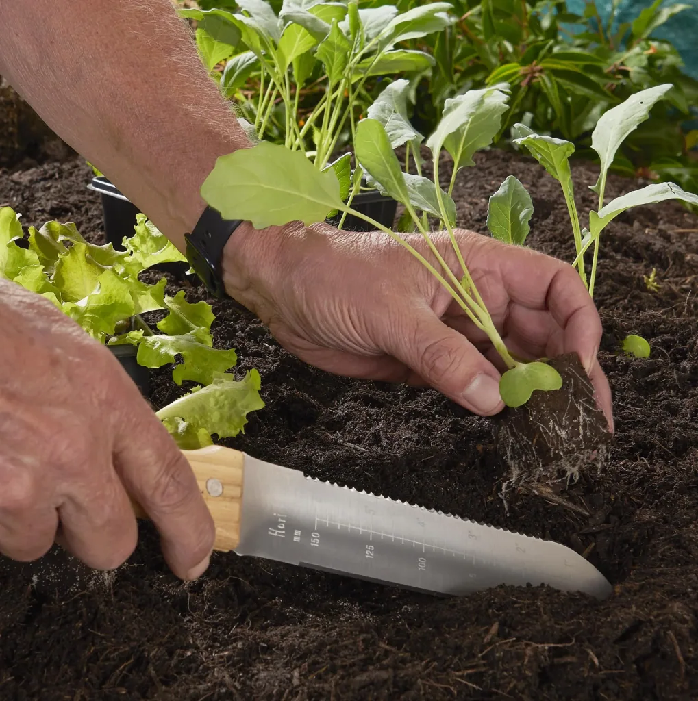 Hori-Hori Gartenmesser
