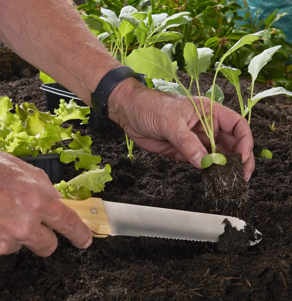 Hori-Hori Gartenmesser