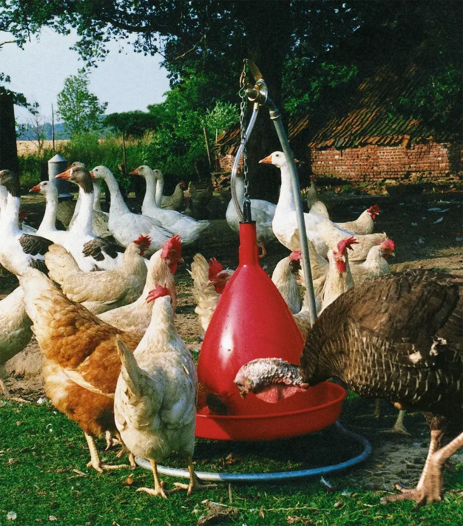 Ständertränke, für Hochdruck