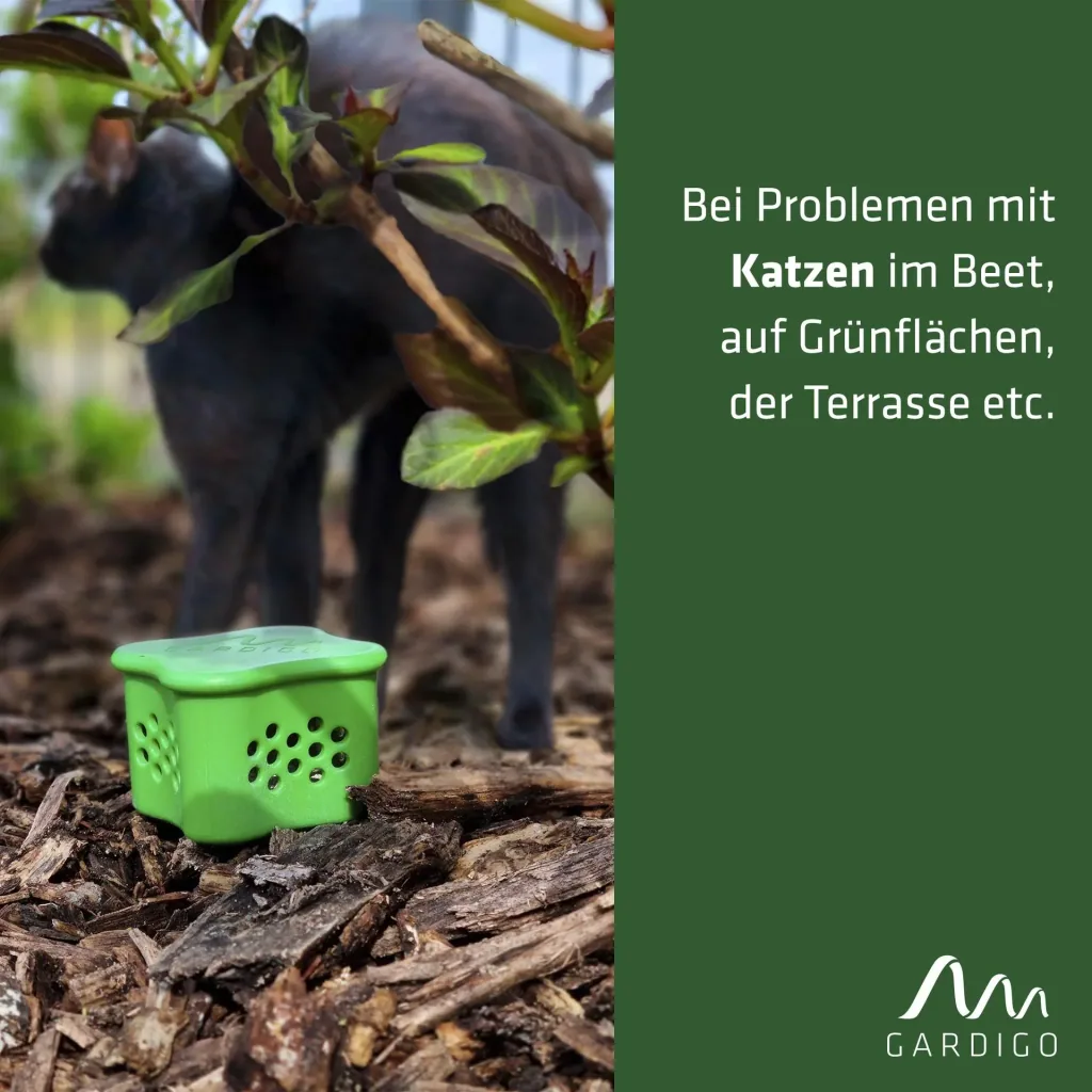 Katzenverdufter mit Beet-Stecker