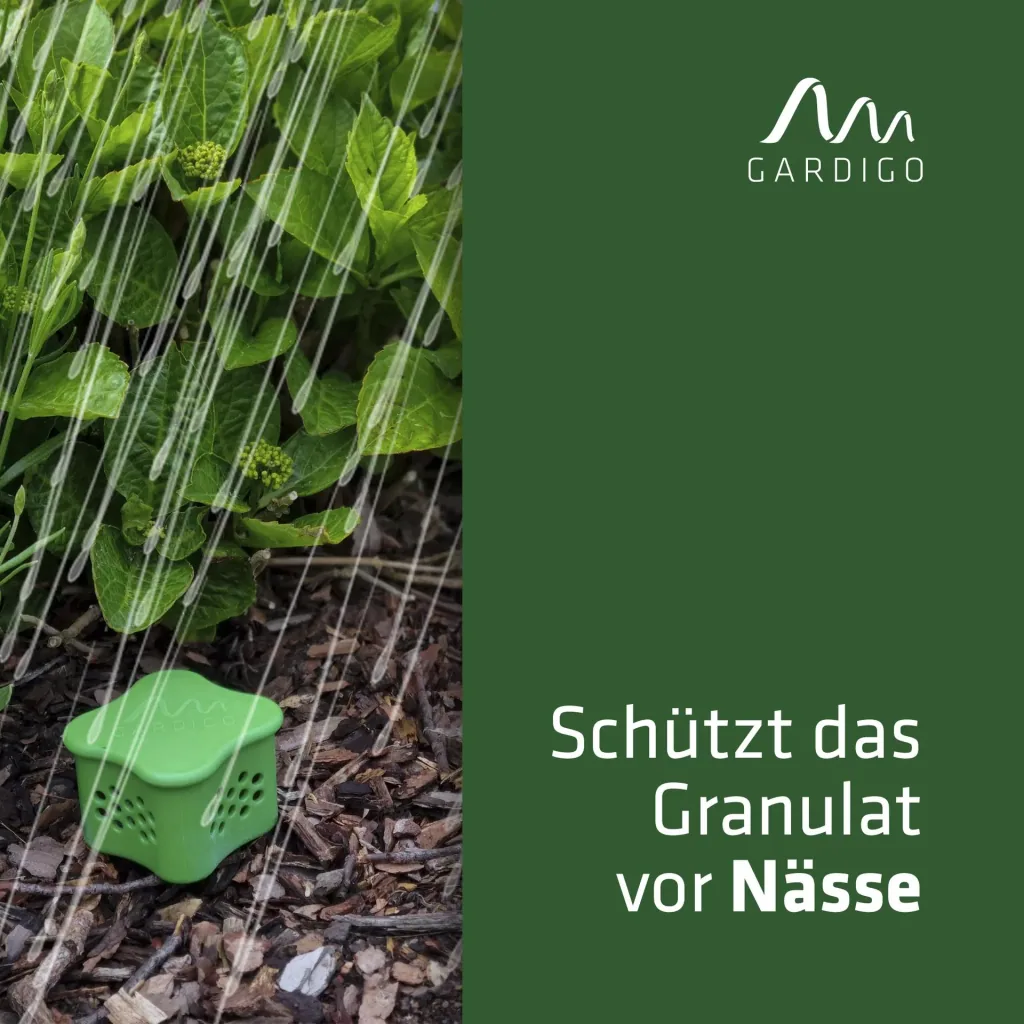 Katzenverdufter mit Beet-Stecker