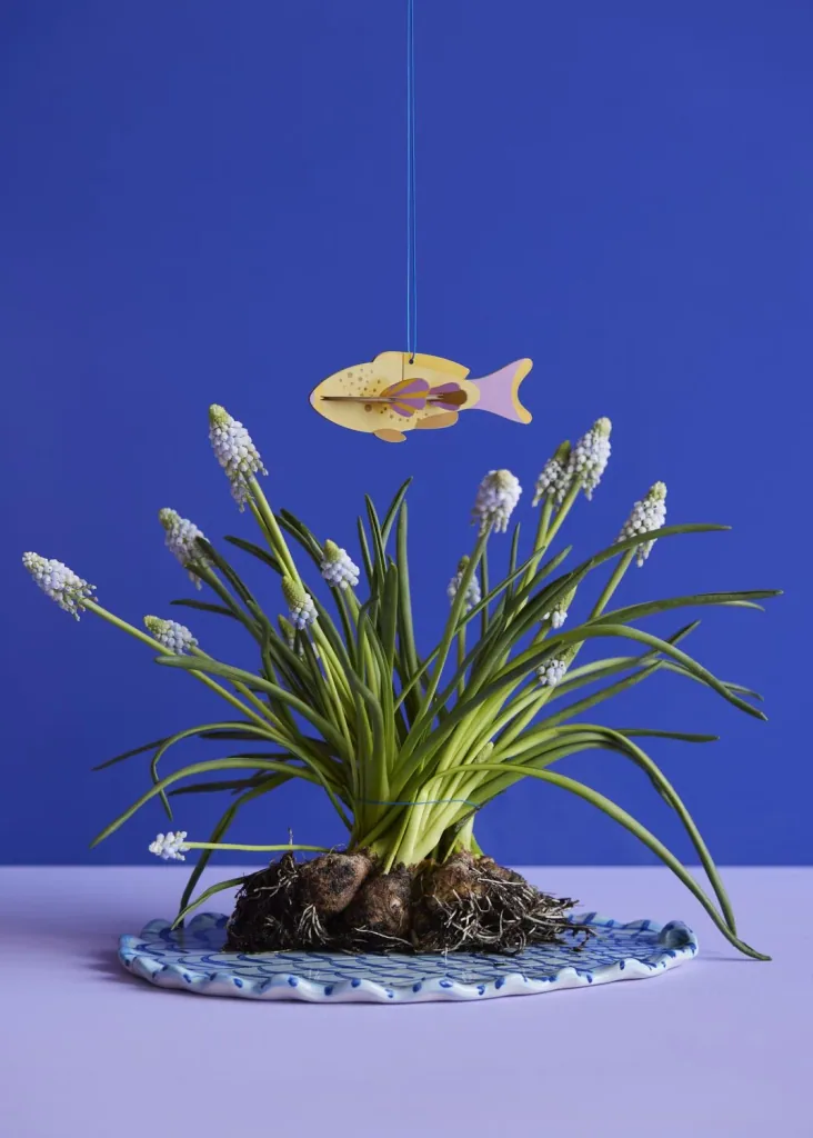 Studio ROOF Ornament, Bastel-Set, 3D Wandobjekt - Fisch