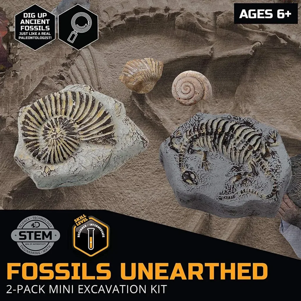 Discovery Mindblow - Fossilienausgrabung - Grabungsset - 2 Stück Archäologie
