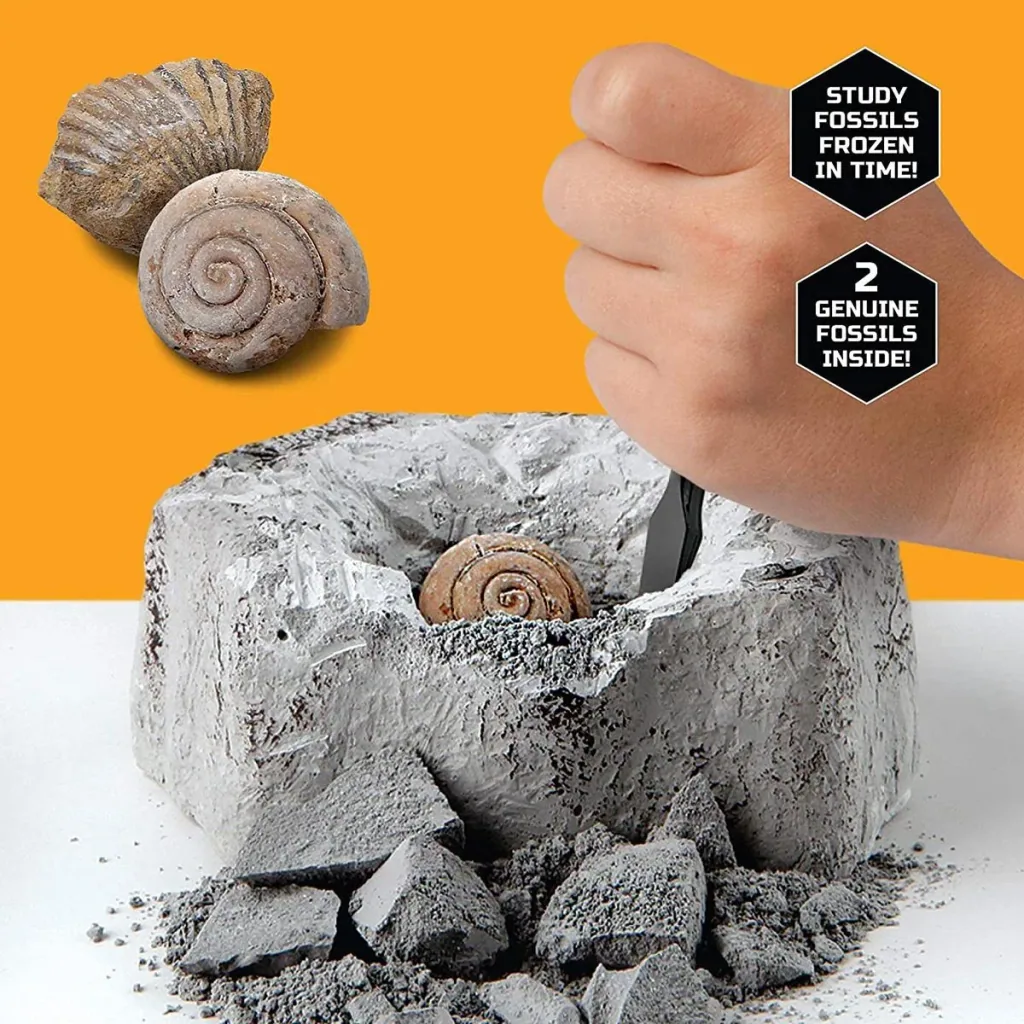Discovery Mindblow - Fossilienausgrabung - Grabungsset - 2 Stück Archäologie