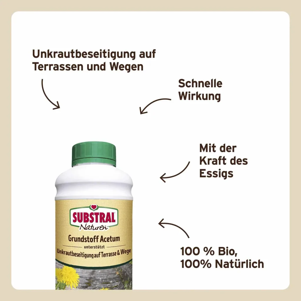 Grundstoff Acetum 1 Liter