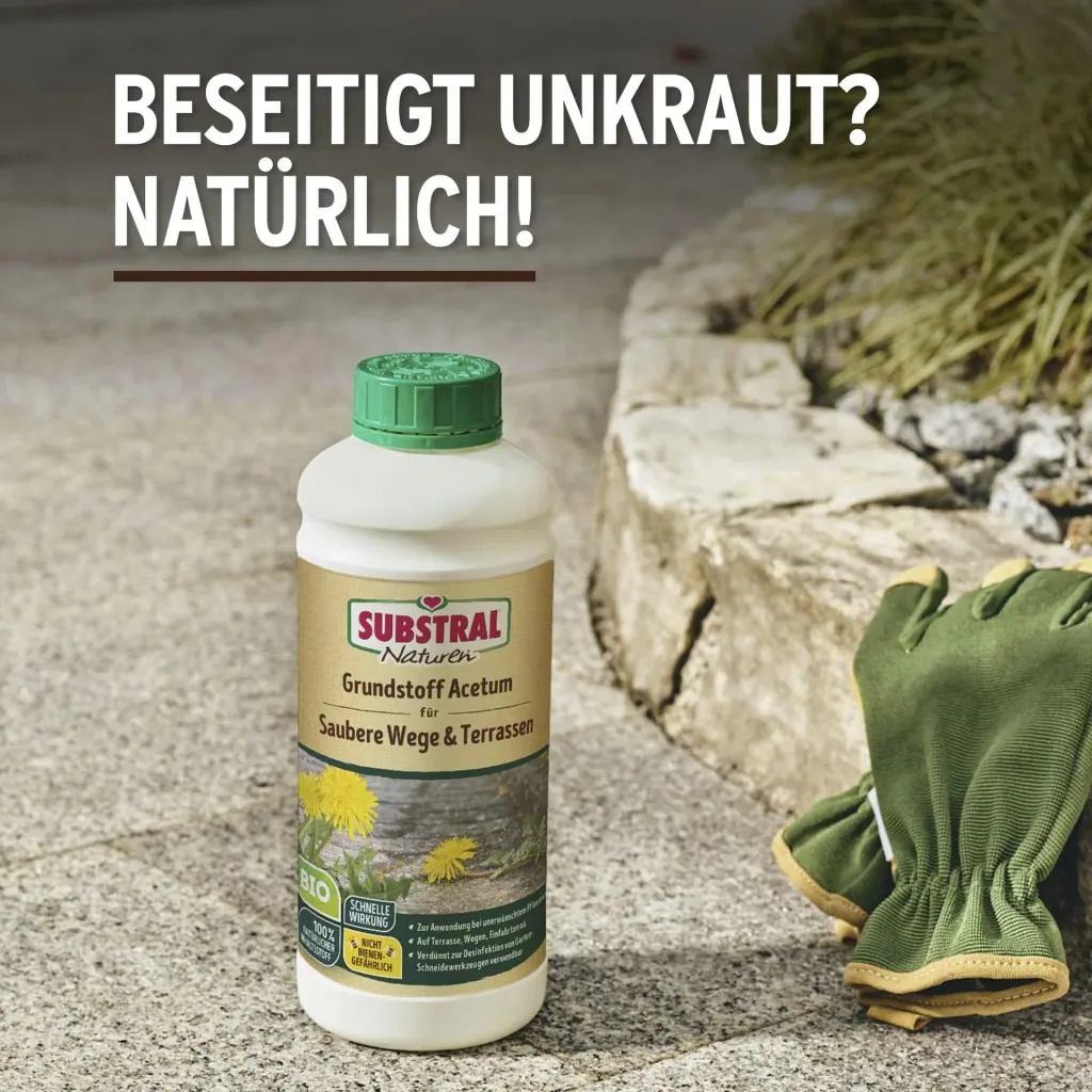 Grundstoff Acetum 1 Liter