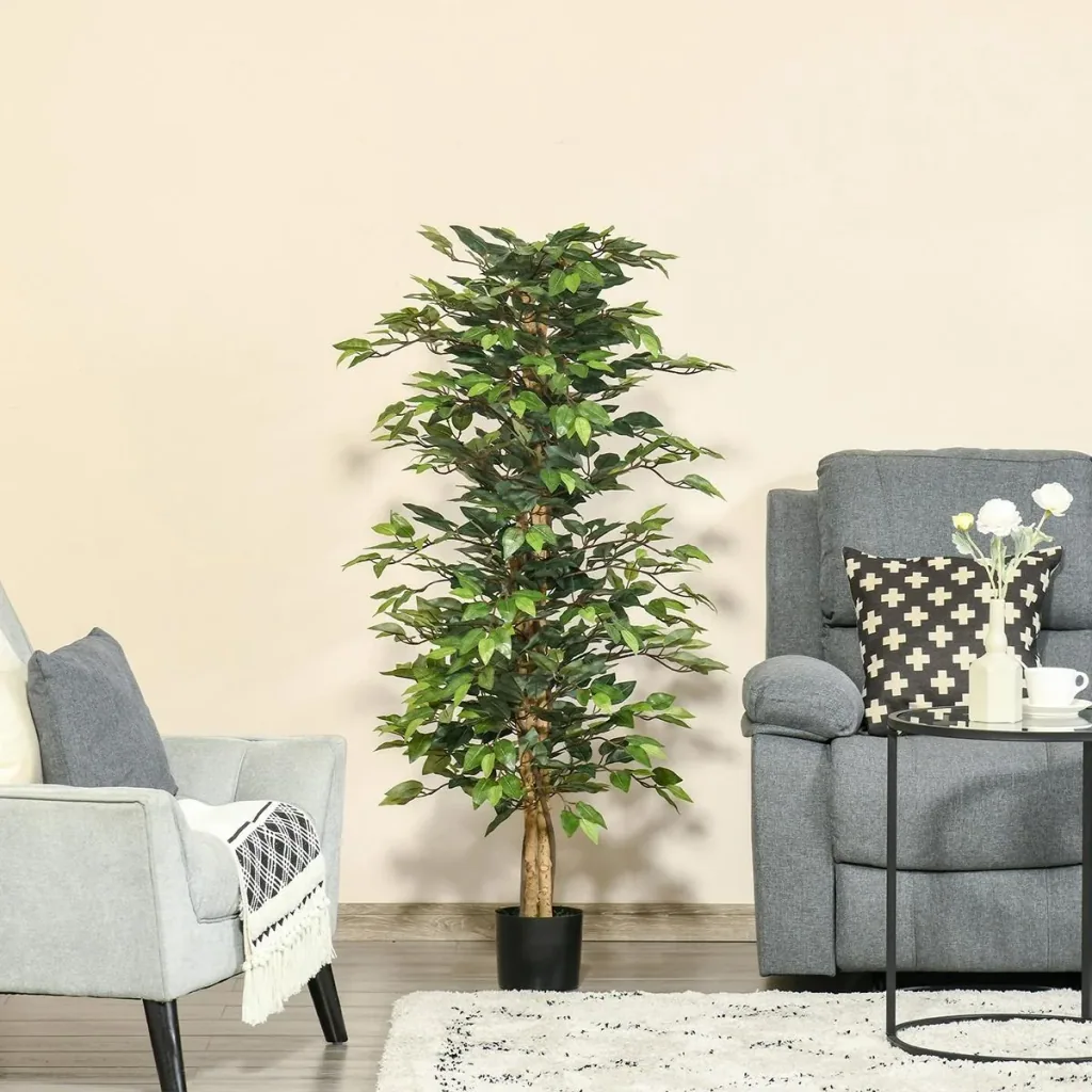 Lorbeerkirsche, Prunus lauroc. "Caucasica", für 5 m Hecke, 60-80 cm hoch, 7 Liter Topf, 10 Stück im Set