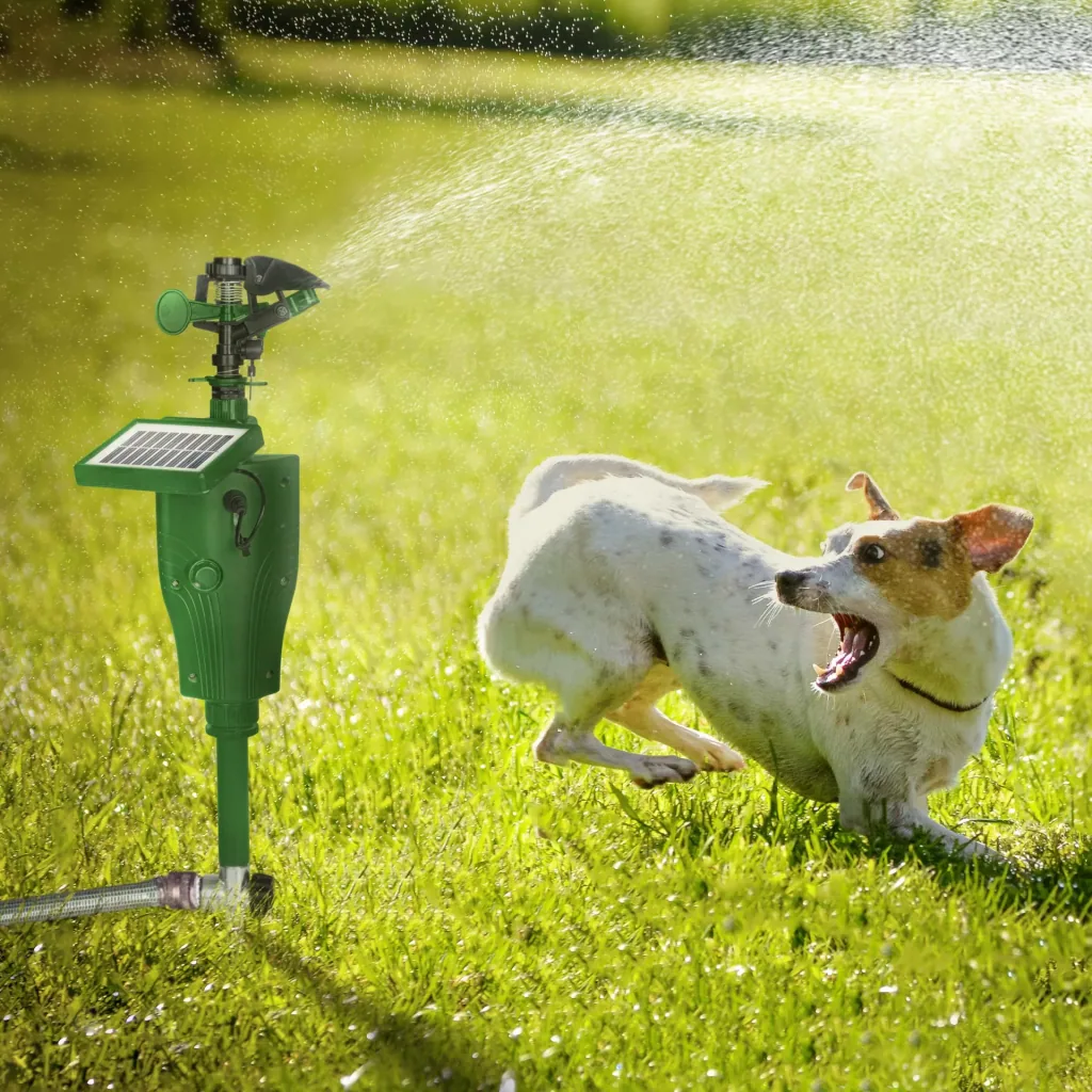 Solar Wasser-Tierabwehr