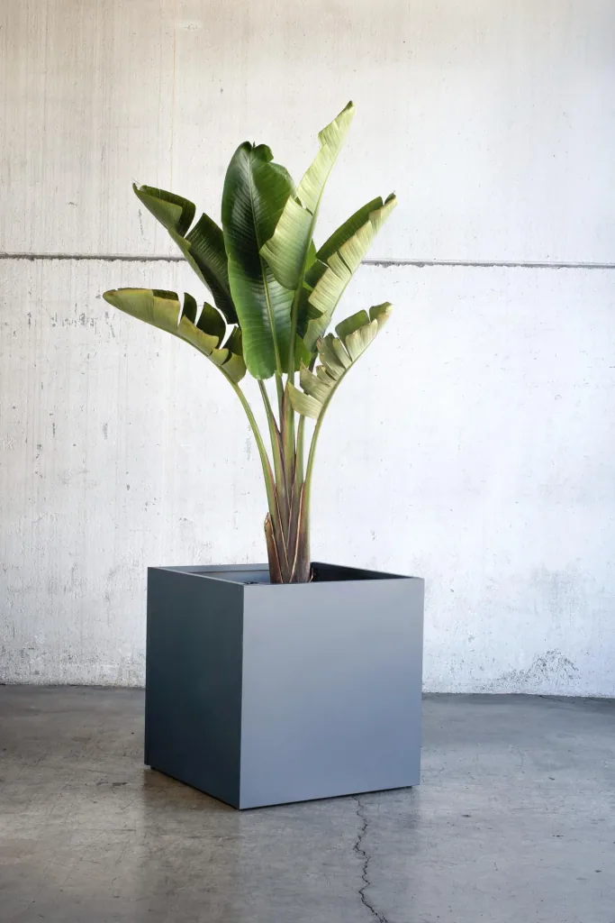 Herstera Garden Pflanzkübel Cube 70×70×70 cm Anthrazit – 343 L Stahl-Hochbeet