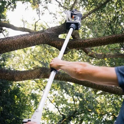 Nexxsaw Einhand-Batteriesäge mit Batterie, Ladegerät und Verlängerungsgriff 124cm