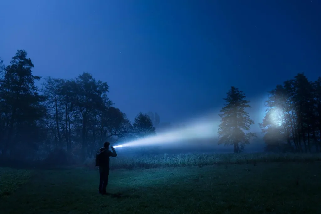 LED Taschenlampe mit 10 Watt und 930 Lumen IP54
