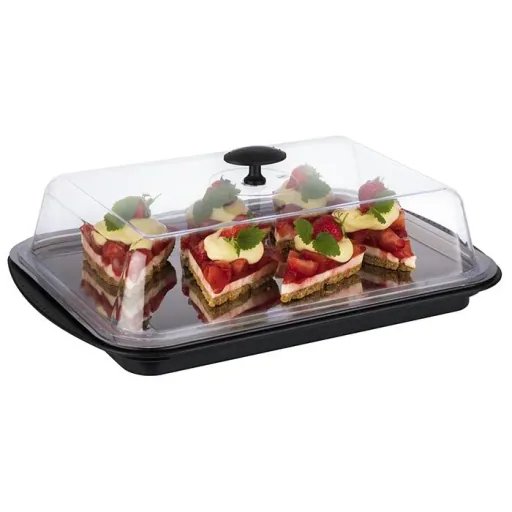 Thermo-Tablett-Set 43 x 29cm: stabile Schale, Edelstahl-Tablett, 2 Kühlakkus, Frischhaltehaube