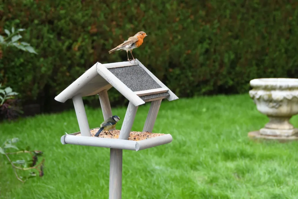 Schweden Vogelfutterhaus Set mit Streu Futter 1 kg