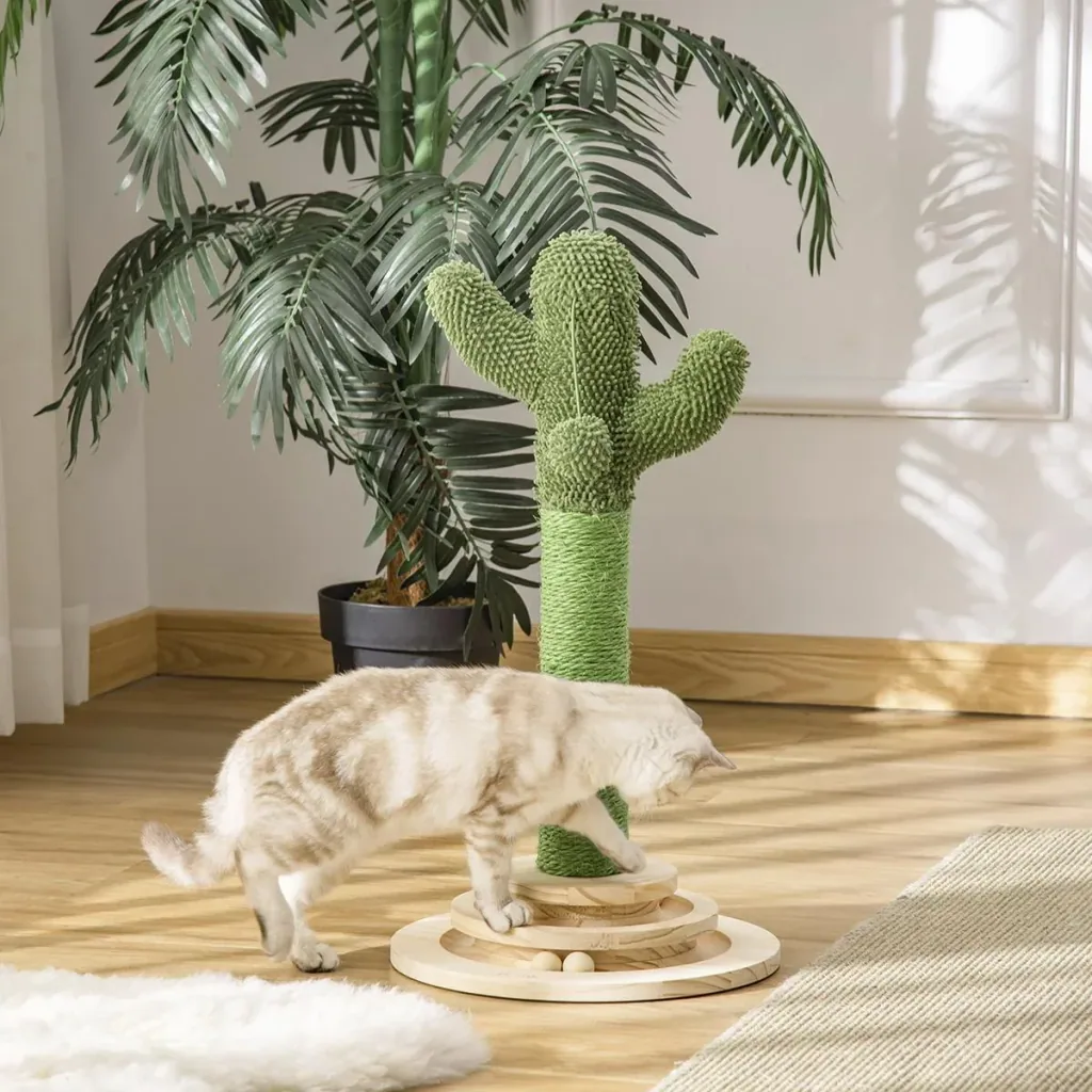 Kratzbaum Kaktus
