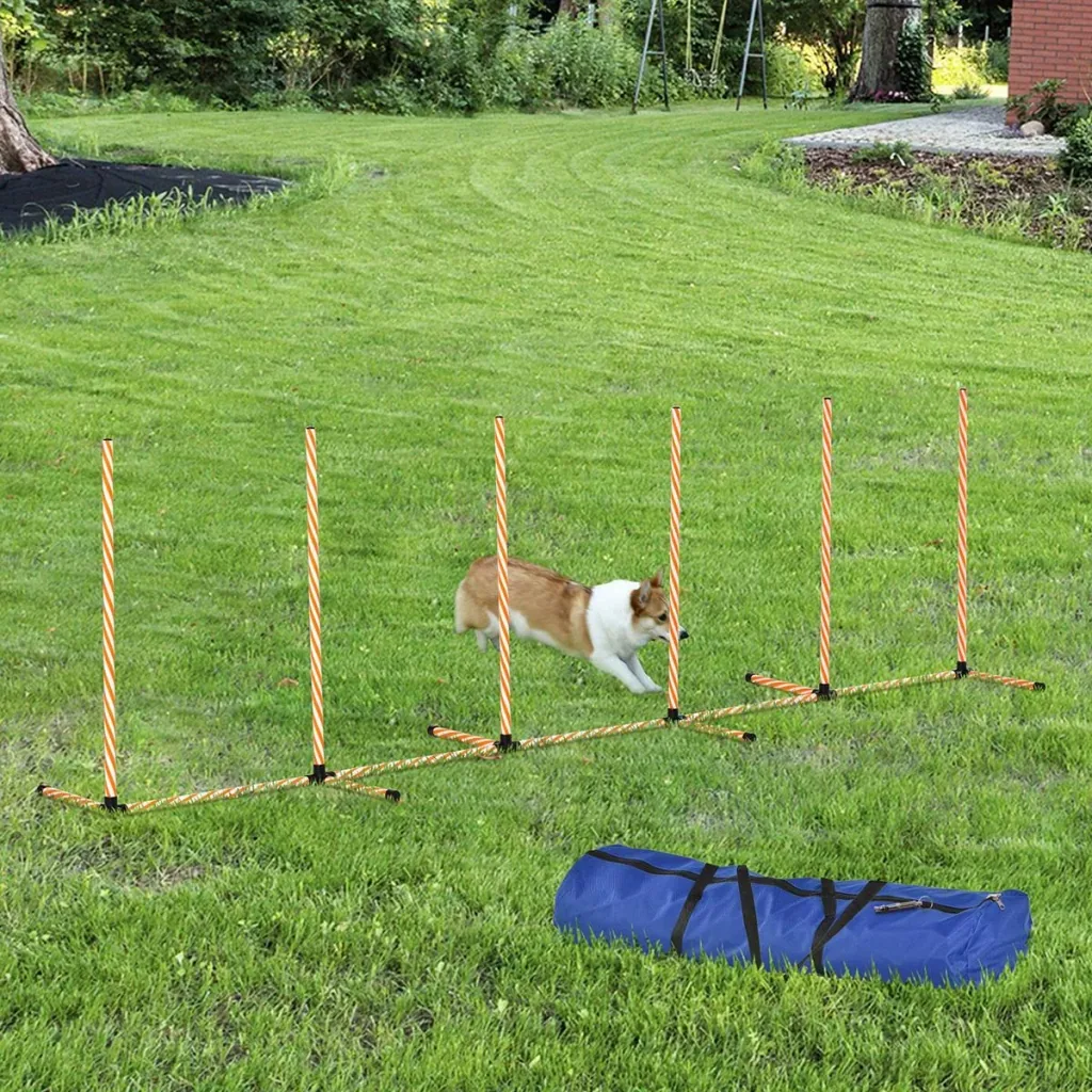 Hunde Slalomstangen Agility Training für Haustiere Hundetrainigsset Inklusive mit Oxford Tasche Leicht zu tragen Polyest