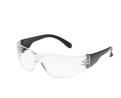 Schutzbrille Champ Tector, Scheibe klar