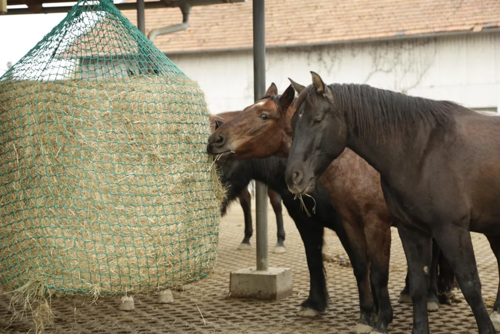 Heunetz für Rundballen 150 x 180 cm zum Aufhängen