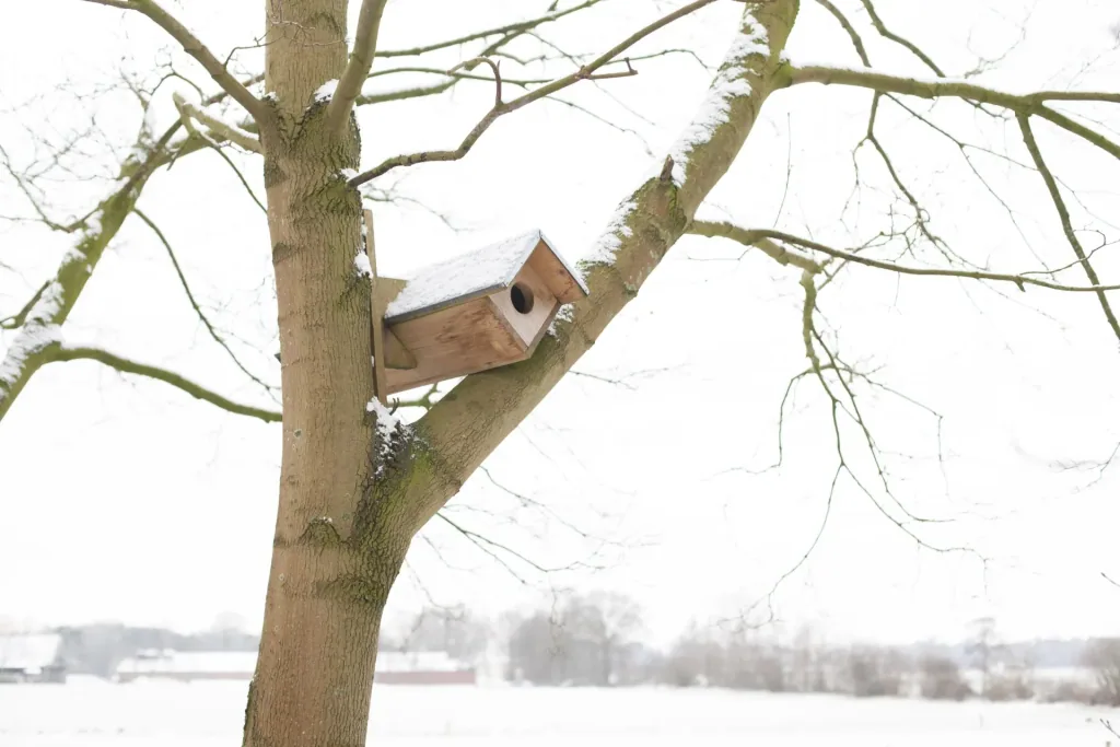 Steinkauzkasten